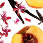 cosmic-love-pessego-baunilha-perfume-body-splash-creamy-2